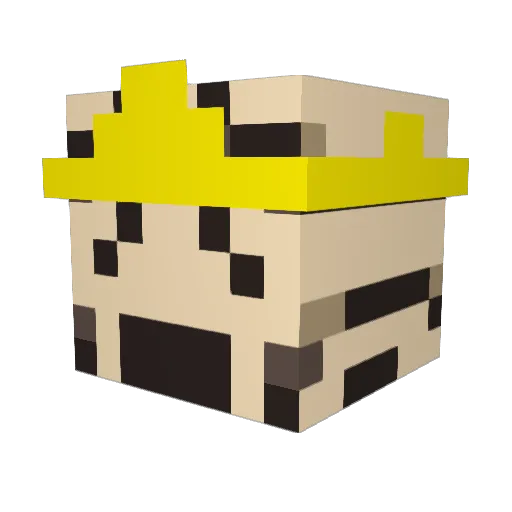 Zippiy Minecraft avatar head, 3D render