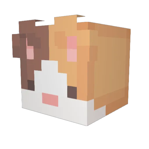 Zipppppp Minecraft avatar head, 3D render