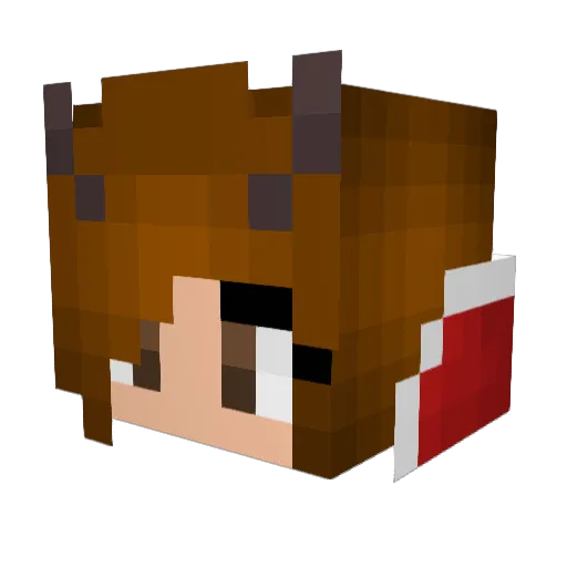 Zippy19 Minecraft avatar head, 3D render