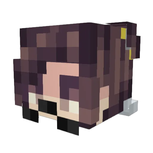 Zippy26 Minecraft avatar head, 3D render