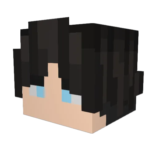 Zippy369 Minecraft avatar head, 3D render