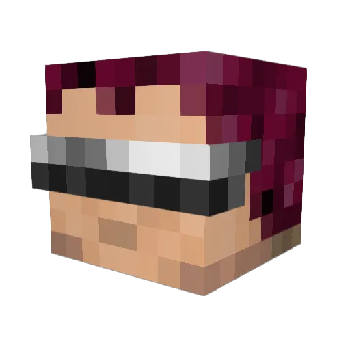 ZippyNT Minecraft avatar head, 3D render