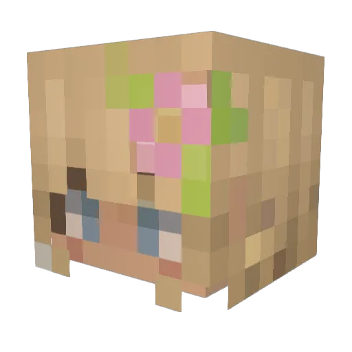 ZippyWasStupid Minecraft avatar head, 3D render
