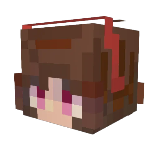 Zippy_Star Minecraft avatar head, 3D render