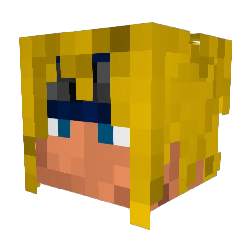 Zipun4 Minecraft avatar head, 3D render