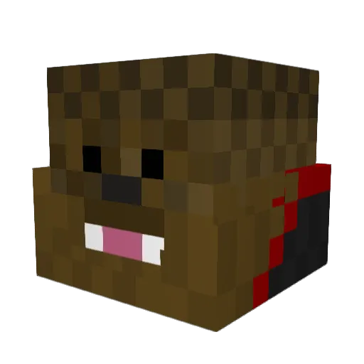 Zircon08 Minecraft avatar head, 3D render