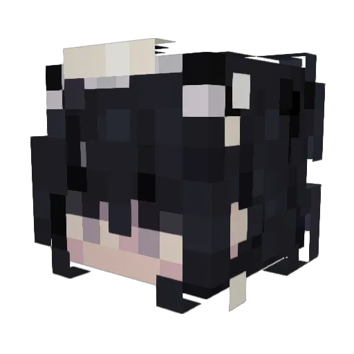 Ziruwave Minecraft avatar head, 3D render