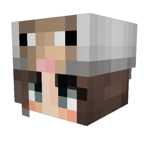 Zirzegg Minecraft avatar head, 3D render