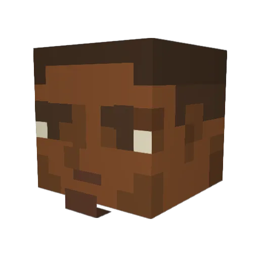Ziselaer3104 Minecraft avatar head, 3D render