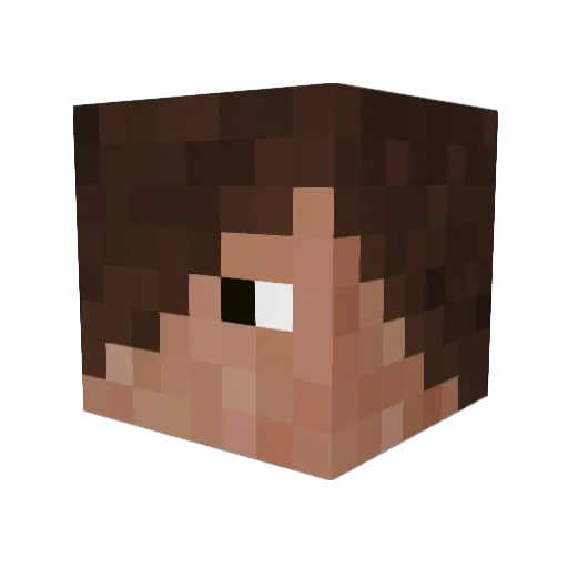 Zitkaduta7667 Minecraft avatar head, 3D render