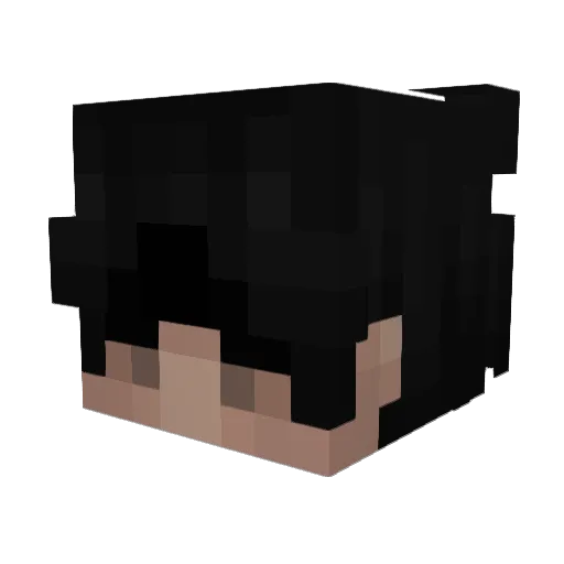 Zitrodoo Minecraft avatar head, 3D render