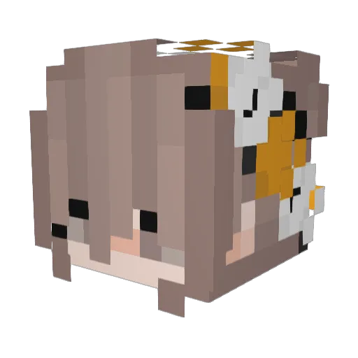 ZitronE__ Minecraft avatar head, 3D render