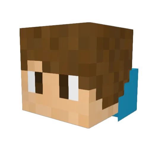 ZitronenNippel13 Minecraft avatar head, 3D render