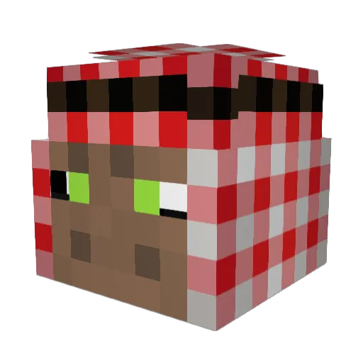 ZitronicYT Minecraft avatar head, 3D render
