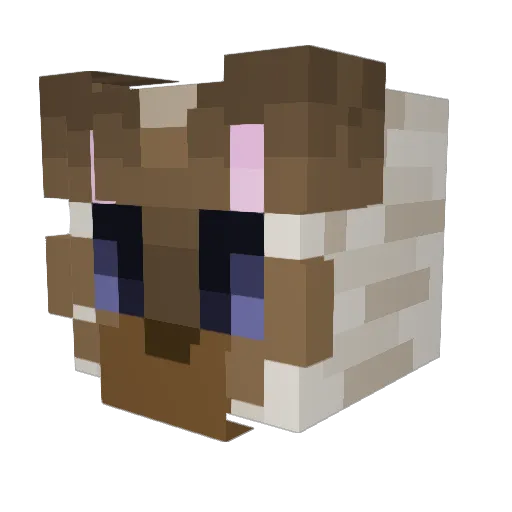 Ziur_17 Minecraft avatar head, 3D render
