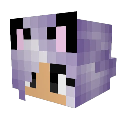 Zivabeava Minecraft avatar head, 3D render