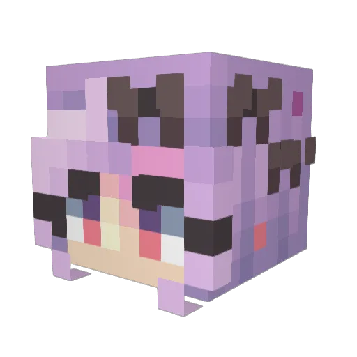 Zixel Minecraft avatar head, 3D render