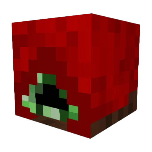 Zixex Minecraft avatar head, 3D render