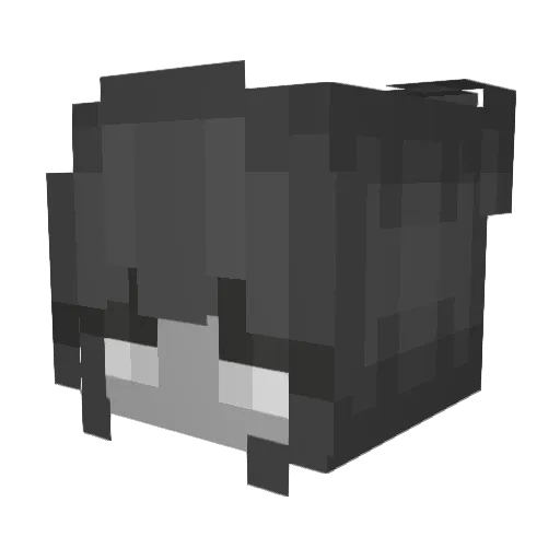 Ziyqt Minecraft avatar head, 3D render