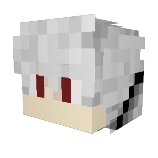 Zizi2Roco_fun Minecraft avatar head, 3D render
