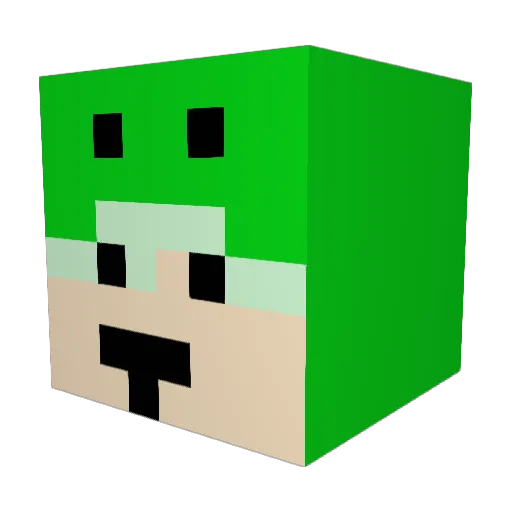 ZizonRuti Minecraft avatar head, 3D render