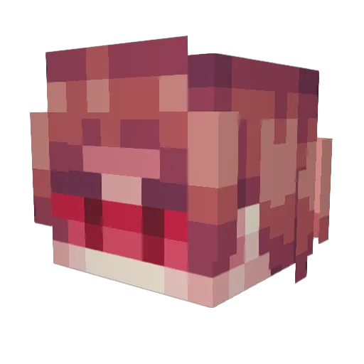 Zizzle214 Minecraft avatar head, 3D render