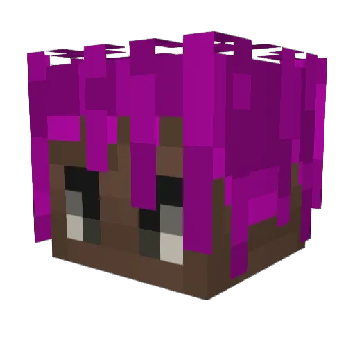 ZizzySZN_YT Minecraft avatar head, 3D render