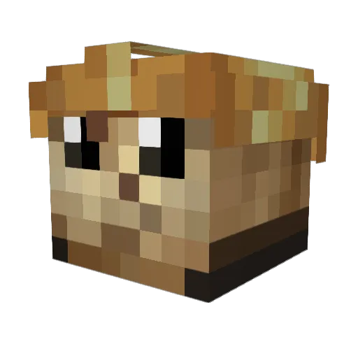 Zjeben Minecraft avatar head, 3D render
