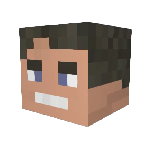 Zju4nns Minecraft avatar head, 3D render
