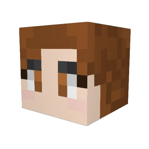 Zkelle Minecraft avatar head, 3D render