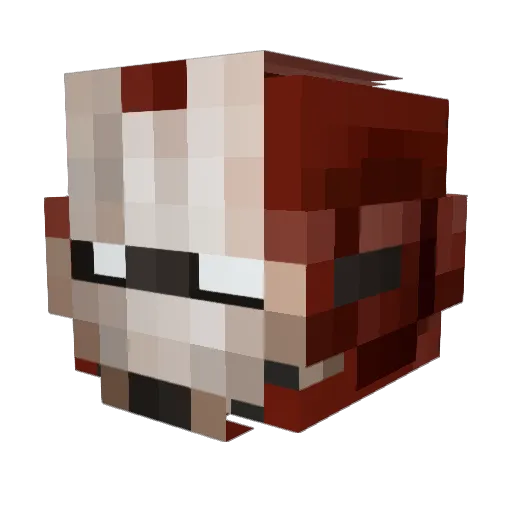 Zkryvix Minecraft avatar head, 3D render