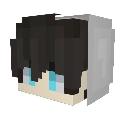 Zkynne Minecraft avatar head, 3D render