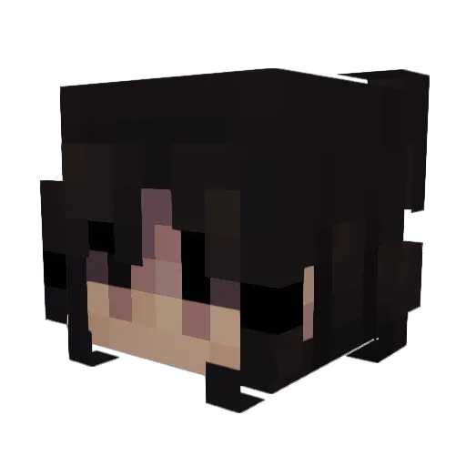 Zlaticek Minecraft avatar head, 3D render