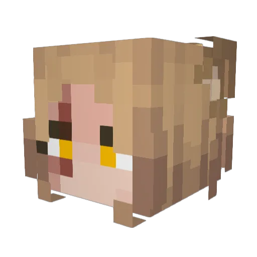ZlatoTieu Minecraft avatar head, 3D render