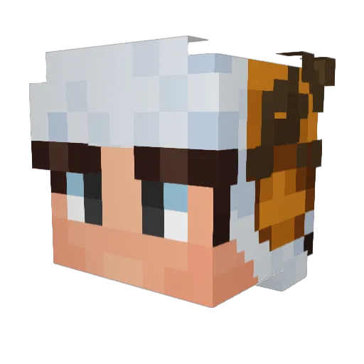 Zlawgfrr Minecraft avatar head, 3D render