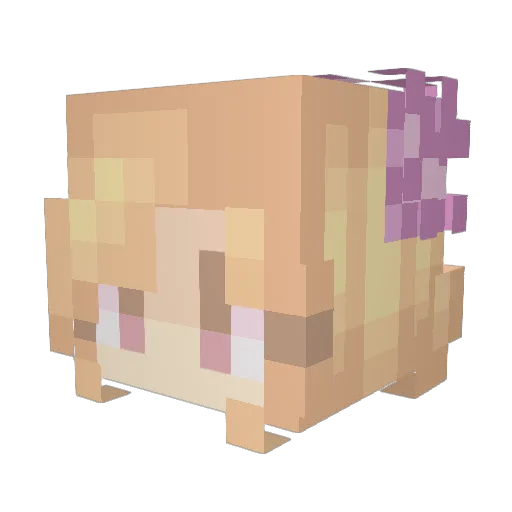 Zleecah Minecraft avatar head, 3D render