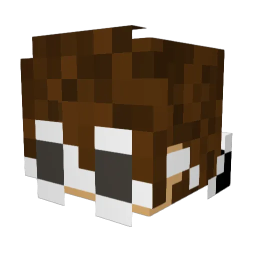 Zleepy15 Minecraft avatar head, 3D render