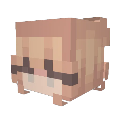 Zlime333 Minecraft avatar head, 3D render
