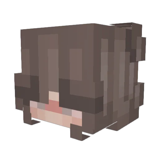 Zlimest Minecraft avatar head, 3D render