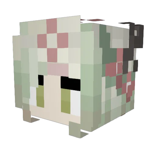 Zlwoly Minecraft avatar head, 3D render