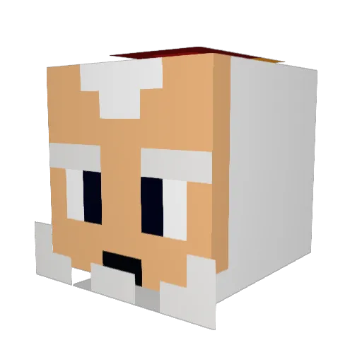 Zmaj8898 Minecraft avatar head, 3D render