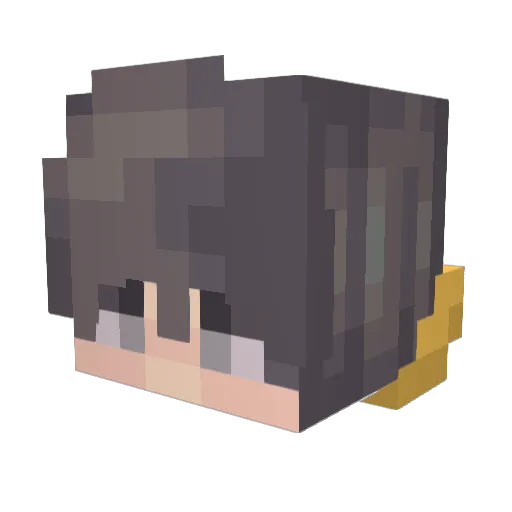 Zmajor Minecraft avatar head, 3D render