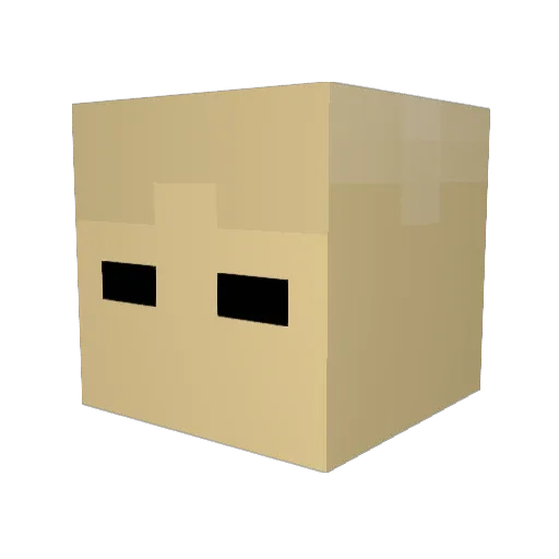 Zman1213 Minecraft avatar head, 3D render