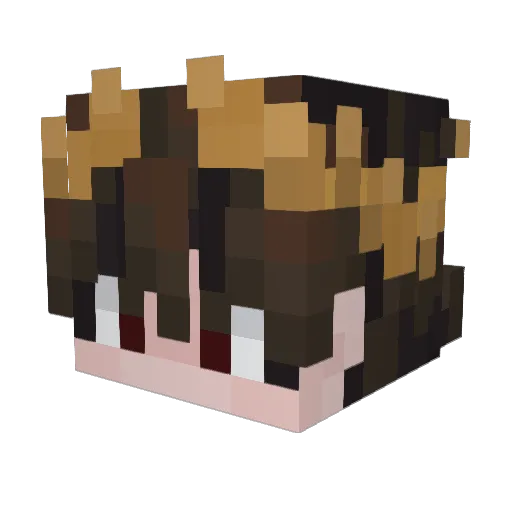 Zman7282 Minecraft avatar head, 3D render