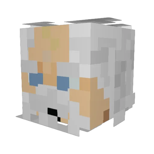 Zman9018 Minecraft avatar head, 3D render