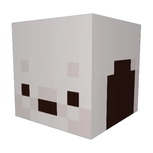 Zmiddy89 Minecraft avatar head, 3D render