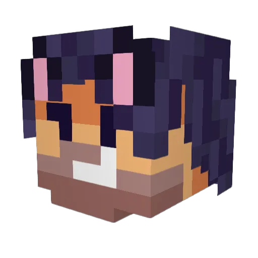ZminkZmonk Minecraft avatar head, 3D render