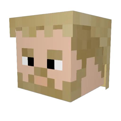 Zmob1429 Minecraft avatar head, 3D render