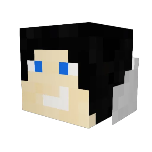 Znajak Minecraft avatar head, 3D render