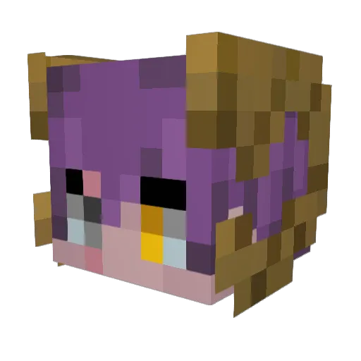 Znikiznicz Minecraft avatar head, 3D render